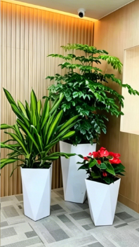 鄞州绿化养护合同-奉化租绿植费用-海曙花木租赁经营模式-北仑绿植租摆案例